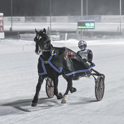 Bokli Rapp blev årets häst. Foto: Jenny Rehnman